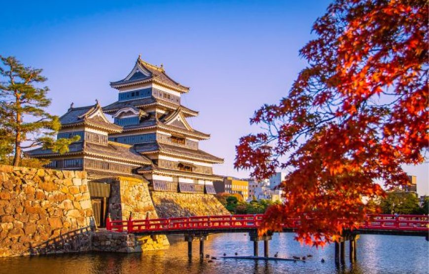 JAPON EN UNA SEMANA SIN VISA (TOKYO – KYOTO)