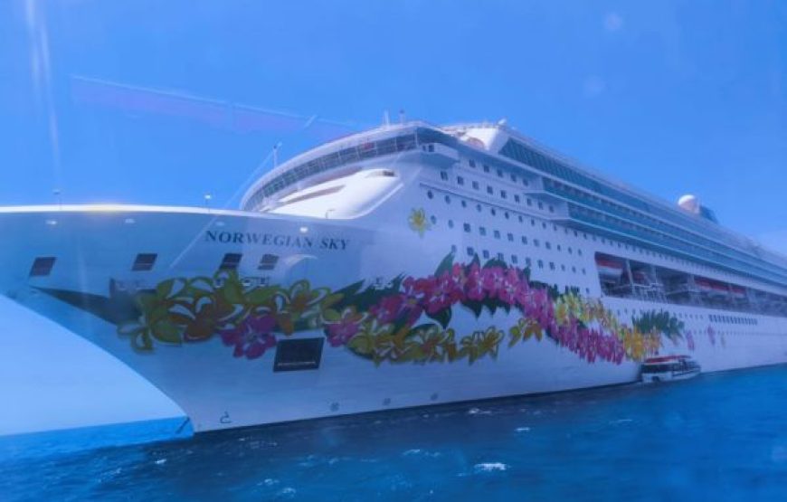 NORWEGIAN SKY – PUNTA CANA SIN VISA  23 DE MARZO DEL 2026