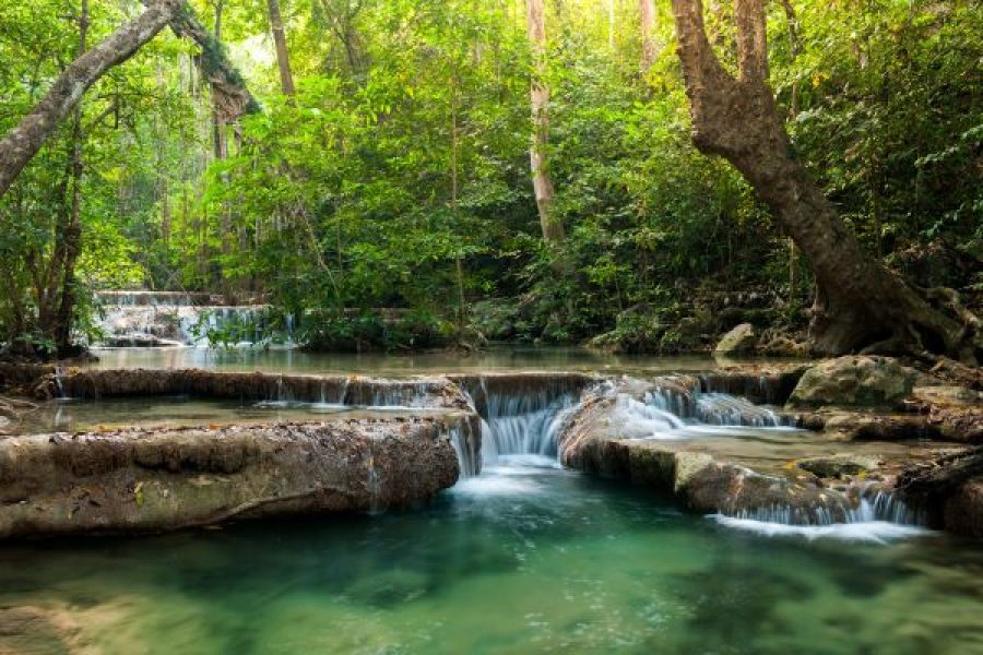 RECIBE EL 2026  TARAPOTO BÁSICO 30 DIC AL 02 ENE