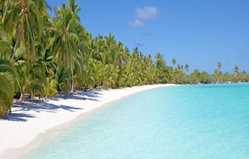 RECIBE EL 2026 PUNTA CANA 29 DICIEMBRE 2025 AL 03 ENERO 2026