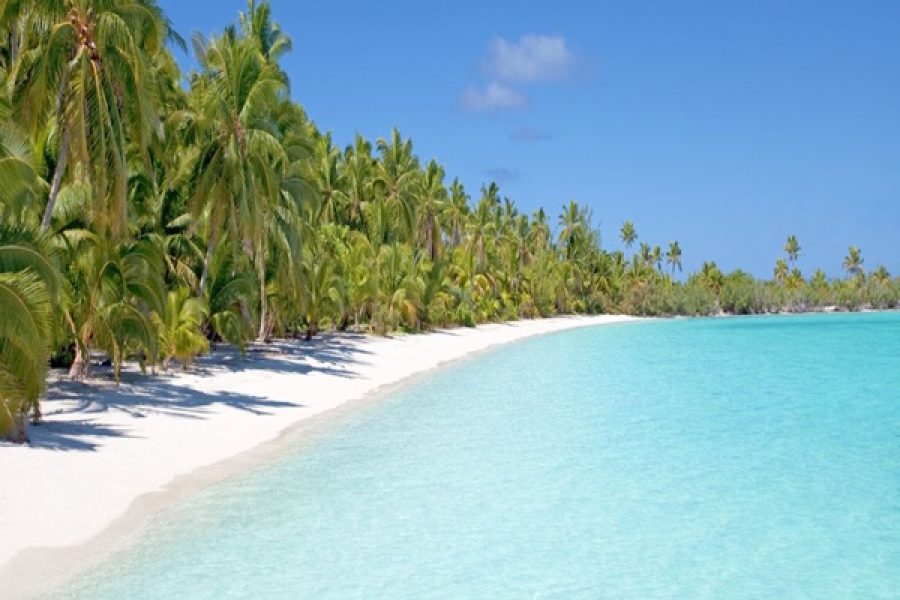 RECIBE EL 2026 PUNTA CANA 29 DICIEMBRE 2025 AL 03 ENERO 2026