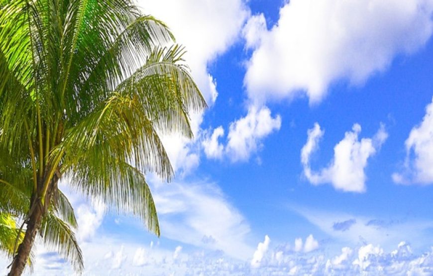 RECIBE EL 2026 PUNTA CANA 29 DICIEMBRE 2025 AL 03 ENERO 2026