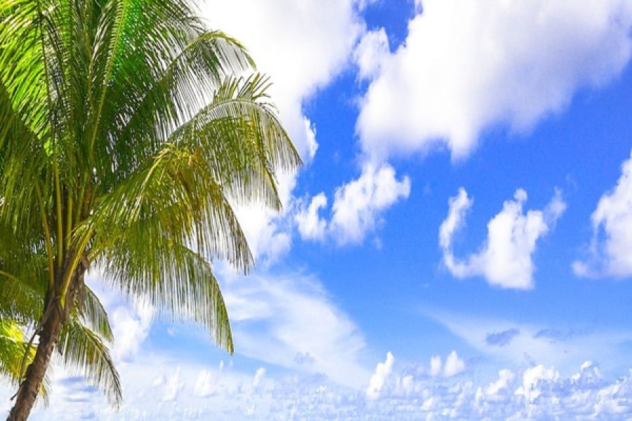 RECIBE EL 2026 PUNTA CANA 29 DICIEMBRE 2025 AL 03 ENERO 2026